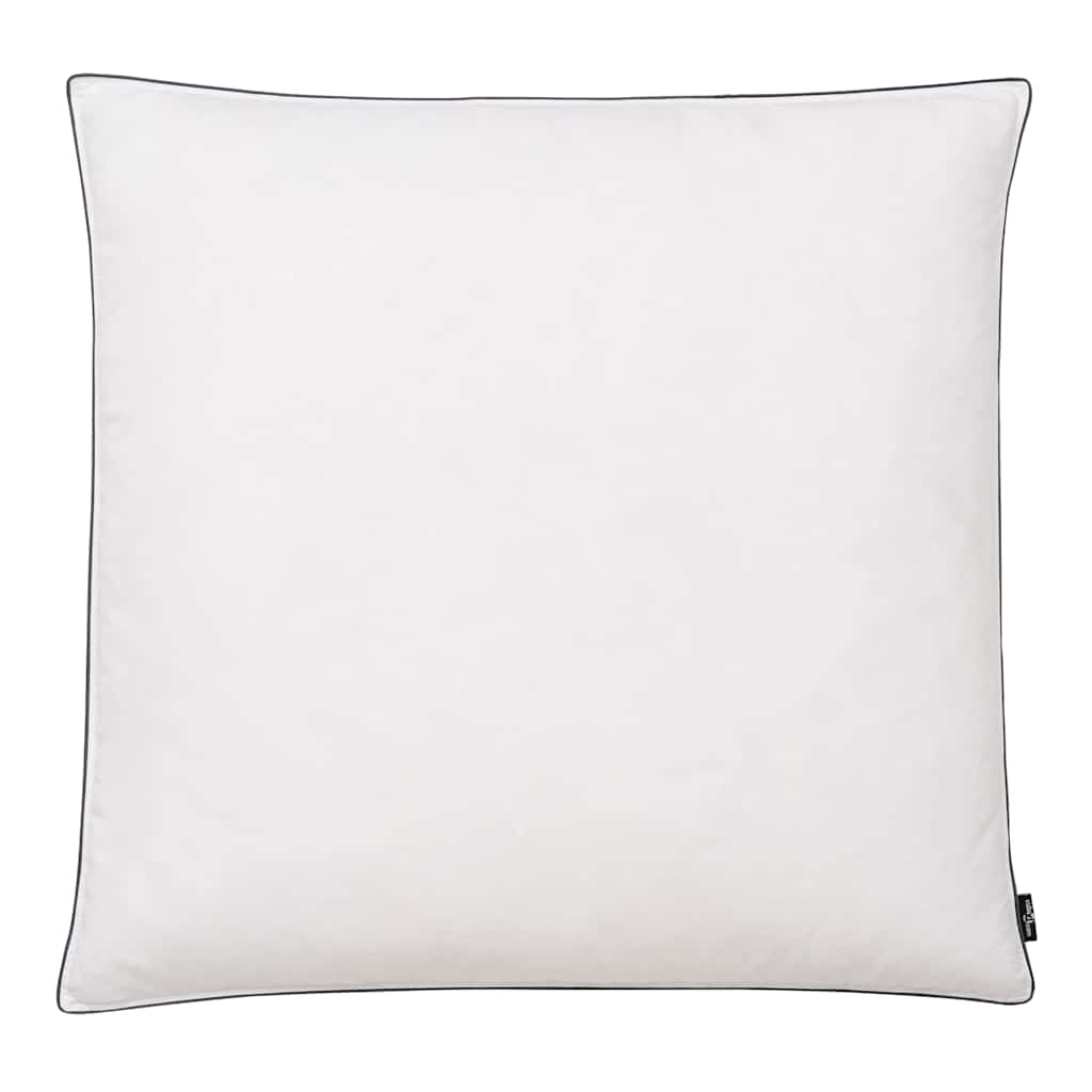 Vidaxl -Kissen 2 ST Light 80x80 cm Down Fieber Weiß
