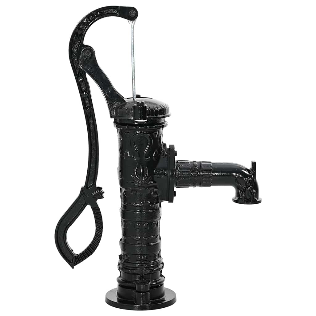 Vidaxl -Handwaterpumpe Gusseisen
