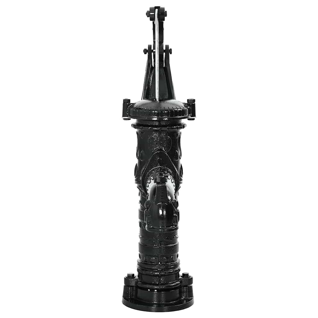 Vidaxl -Handwaterpumpe Gusseisen