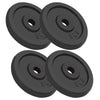 VIDAXL -Halfterscheiben 4 PCs 4x5 kg Gusseisen