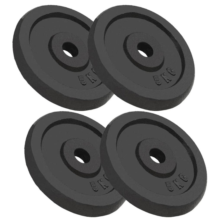 VIDAXL -Halfterscheiben 4 PCs 4x5 kg Gusseisen