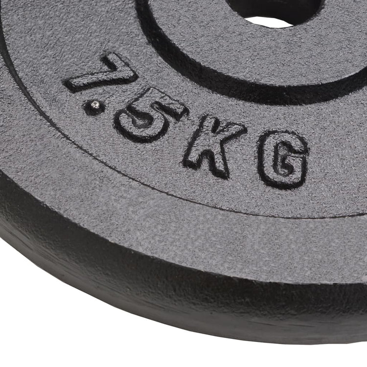 VIDAXL -Halfterscheiben 4 ST 4x7,5 kg Gusseisen
