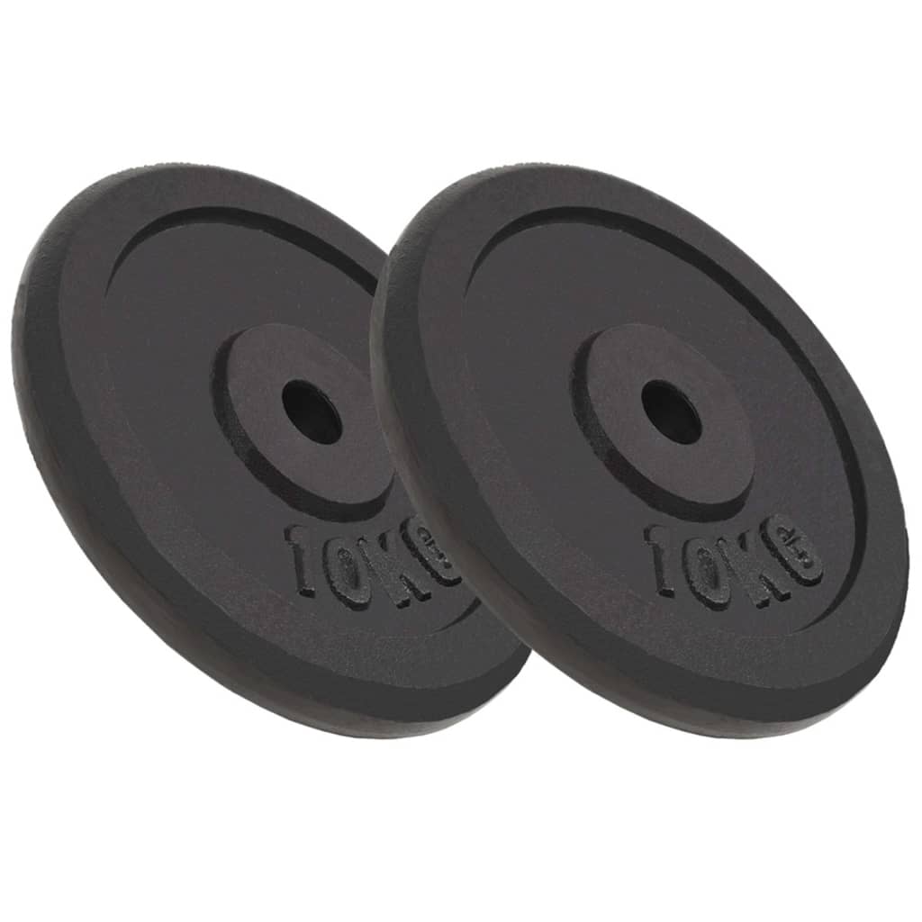 VIDAXL -Halfterscheiben 2 PCs 2x10 kg Gusseisen