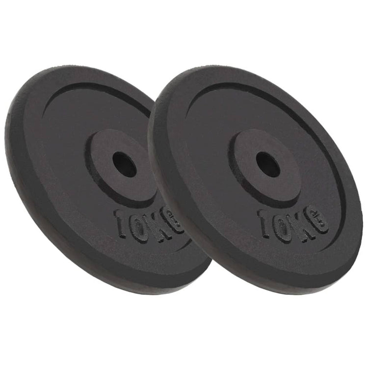 VIDAXL -Halfterscheiben 2 PCs 2x10 kg Gusseisen