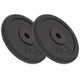 VIDAXL -Halfterscheiben 2 PCs 2x10 kg Gusseisen