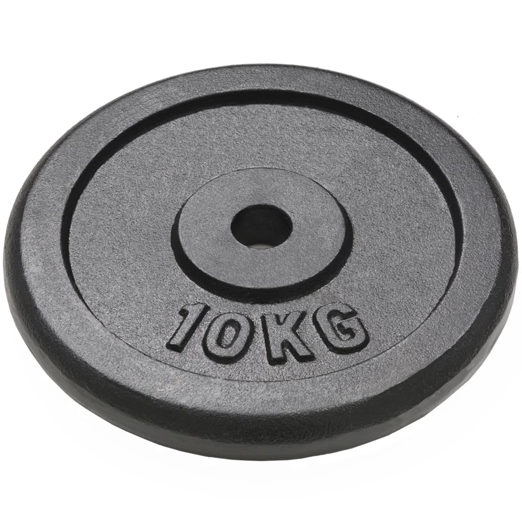 VIDAXL -Halfterscheiben 2 PCs 2x10 kg Gusseisen