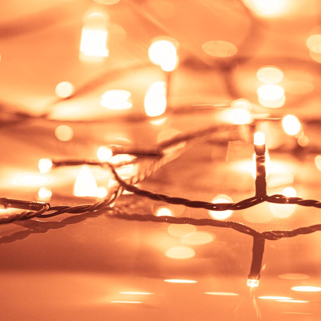 Vidaxl Lichtkabel mit 400 LEDs mit 8 leichten Effekten 40 M warmes Weiß