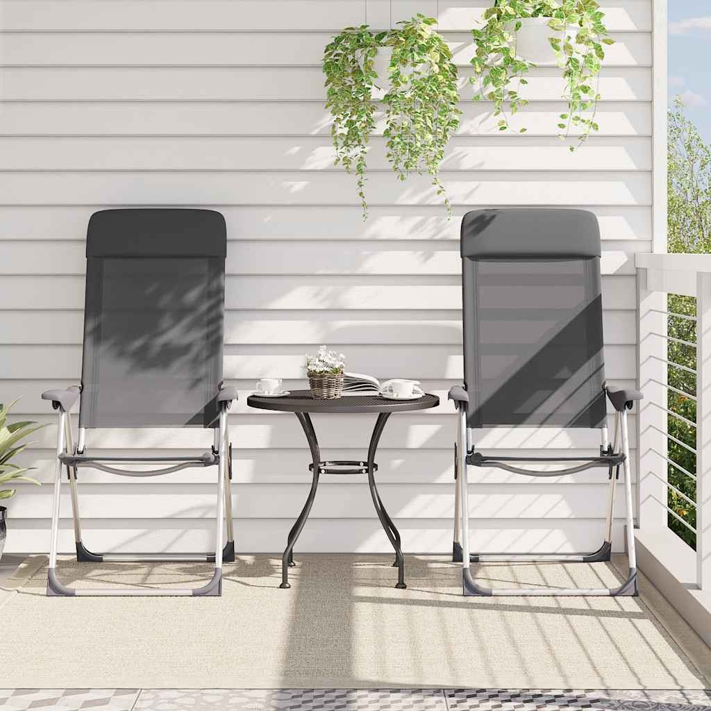 VIDAXL CAMPSITET -STAIL 2 PCS FALTING ALUMINUM GRAY