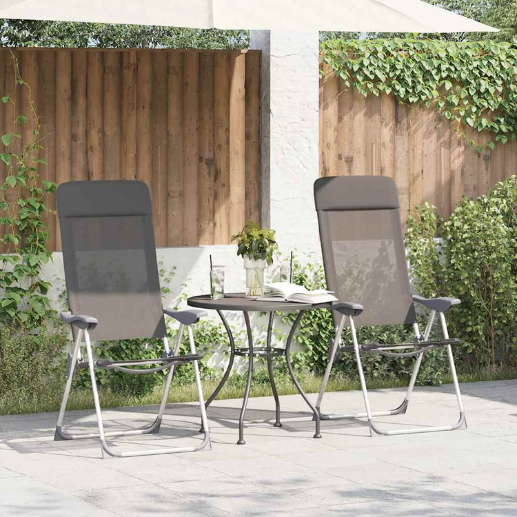Vidaxl Campingstühle 4 Stcs Falten Aluminiumgrau