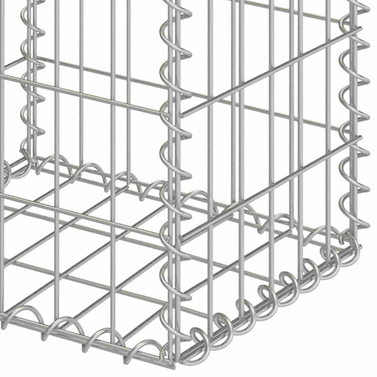 Vidaxx Gabionen 2 Stück 30x30x40 cm verzinkter Stahl
