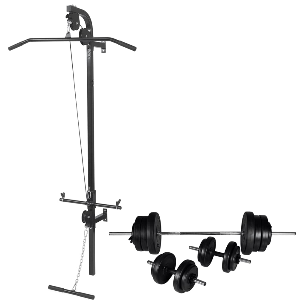 Vidaxl -Kraftturm für die Wand mit Hantel 60,5 kg