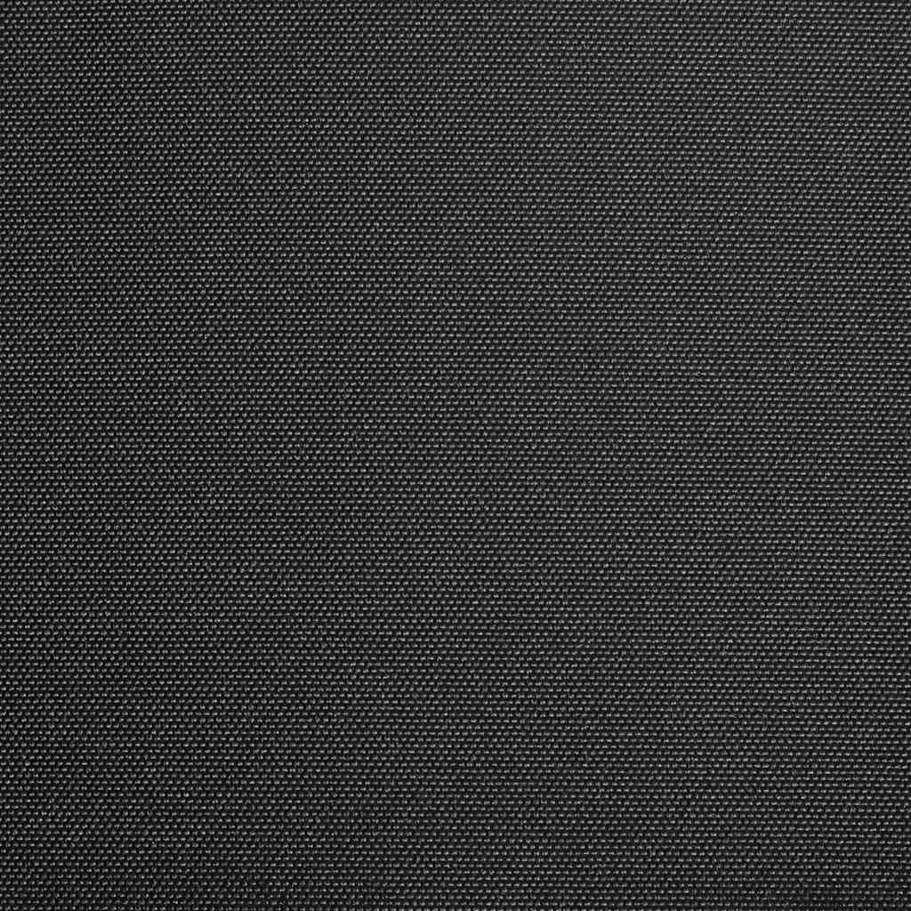 Vidaxl LaFeldoek 300x250 cm Leinwand Anthrazit