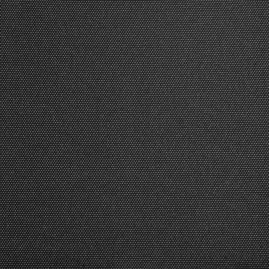 Vidaxl LaFeldoek 400x300 cm Leinwand Anthrazit
