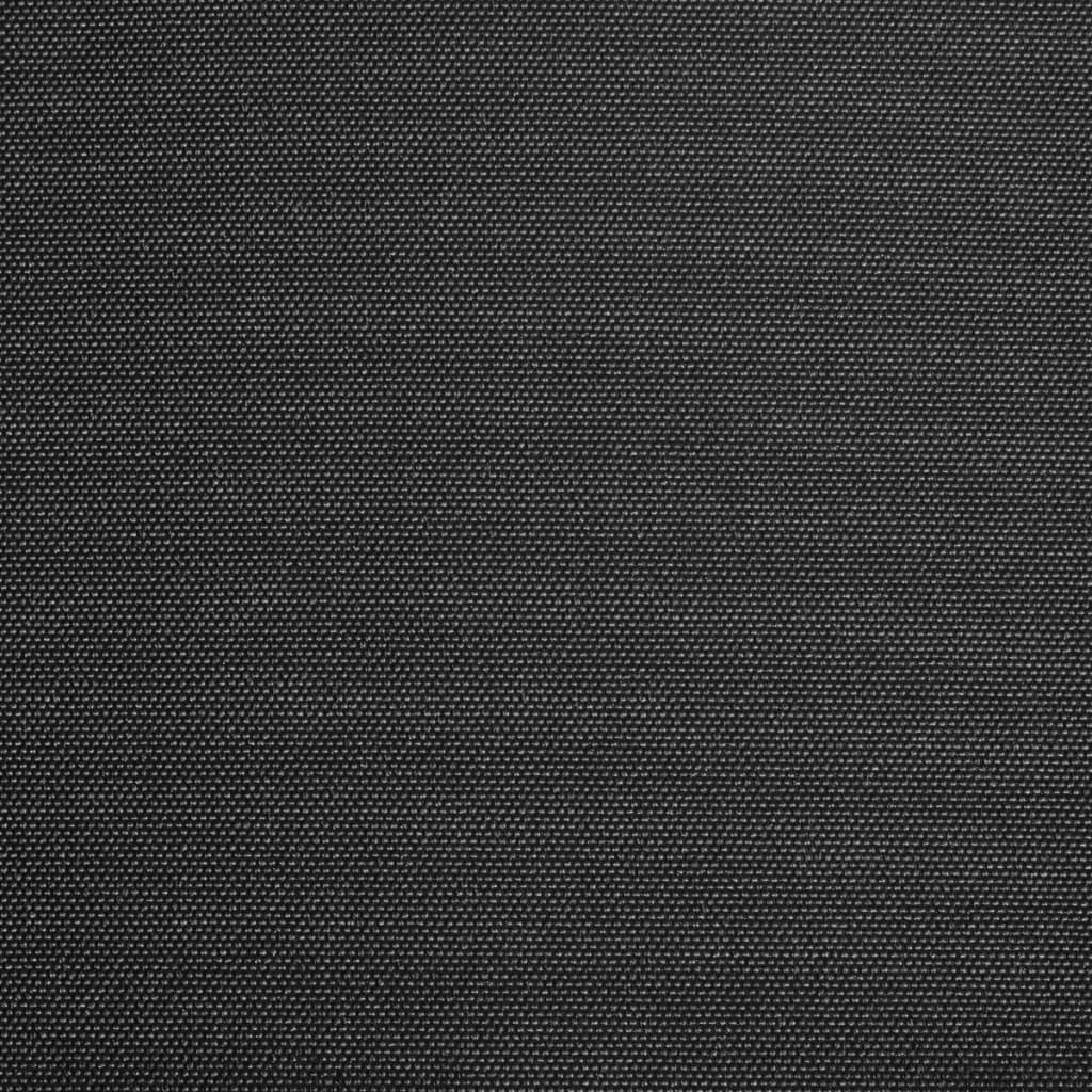Vidaxl LaFeldoek 600x300 cm Leinwand Anthrazit