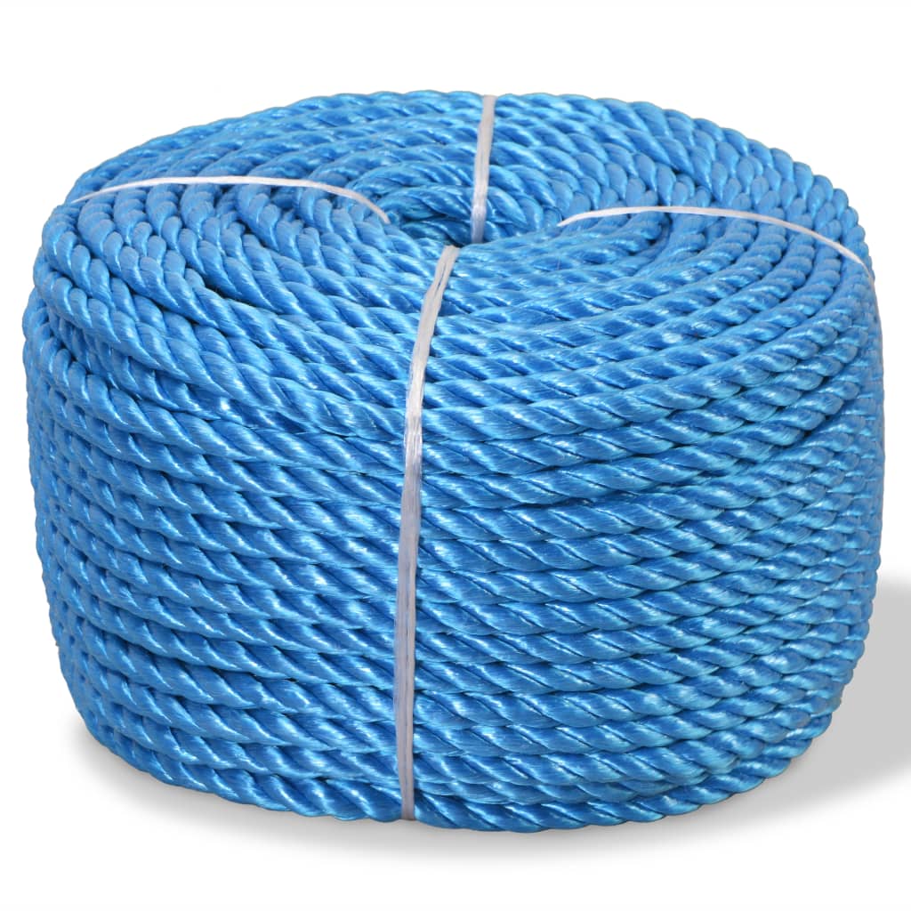 Vidaxl -Seil um 10 mm 250 m Polypropylenblau verdreht