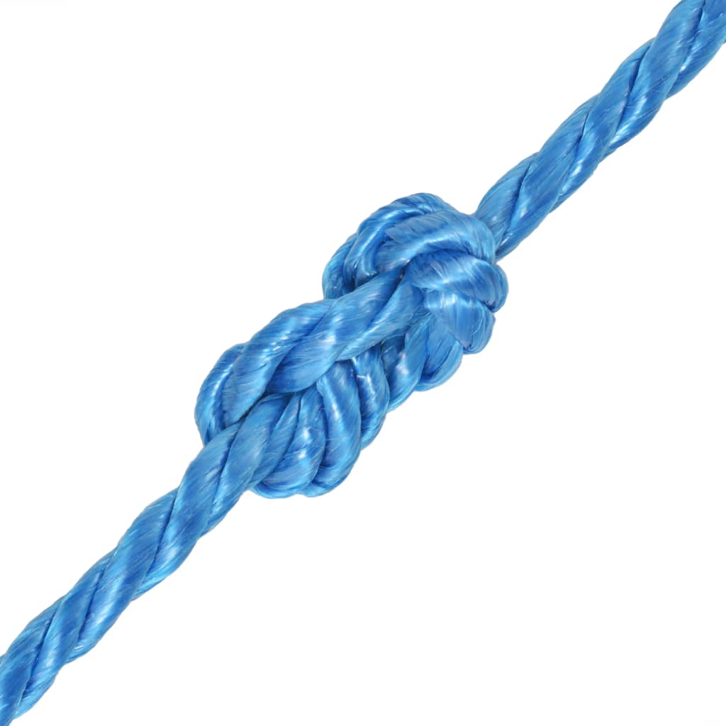 Vidaxl -Seil um 10 mm 250 m Polypropylenblau verdreht