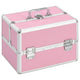 Vidaxl Make -up -Koffer 22x30x21 cm Aluminium Pink