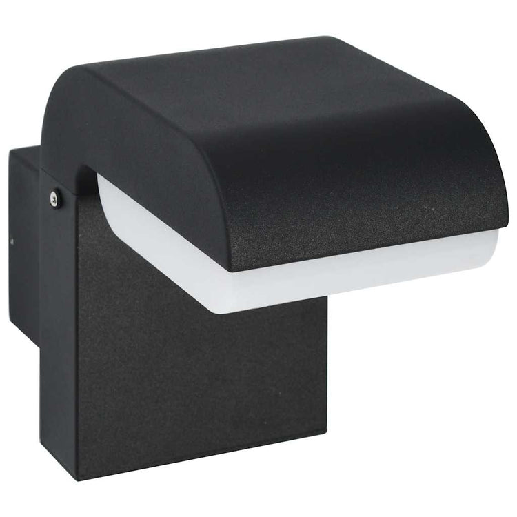 Vidaxxl LED-Außenwandleuchte 9W oval schwarz