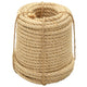 Vidaxl -Seil 12 mm 50 m 100% Schwestern