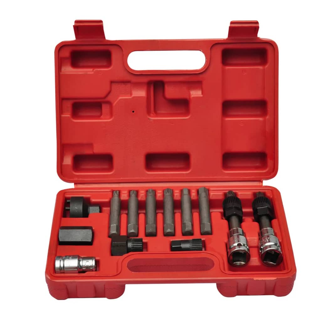 VIDAXL -Generatorauto -Tools gesetzt
