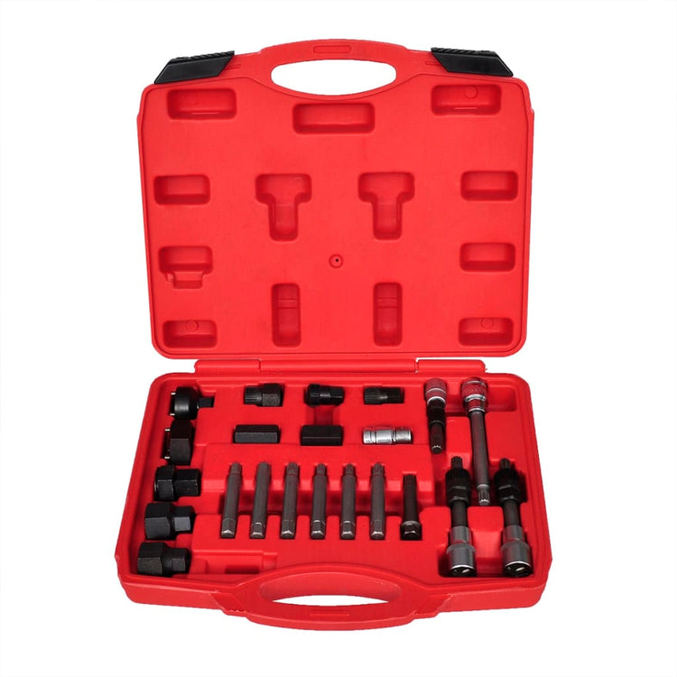 VIDAXL -Lichtmaschinenauto -Werkzeuge Set 22 ST