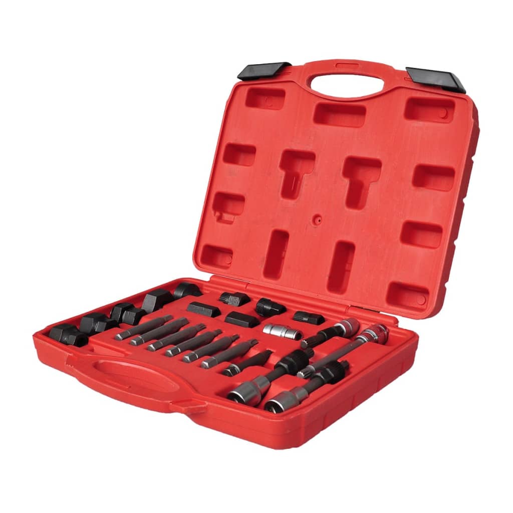 VIDAXL -Lichtmaschinenauto -Werkzeuge Set 22 ST