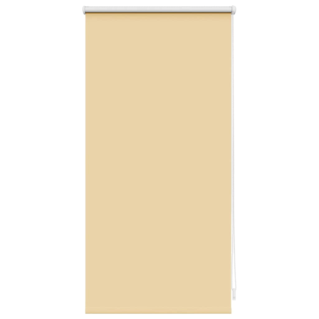 Vidaxl Roller Blind verdämmen 40 x 100 cm Beige