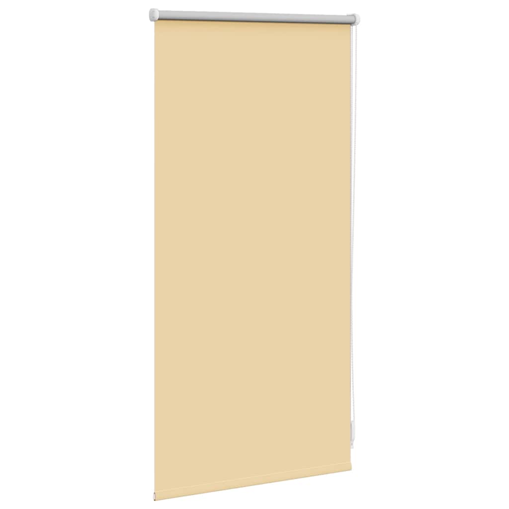 Vidaxl Roller Blind verdämmen 40 x 100 cm Beige