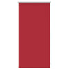 Vidaxl Roller Blind verdämmen 40 x 100 cm rot