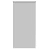 Vidaxl Roller Blind Dammning 40x100 cm Grau