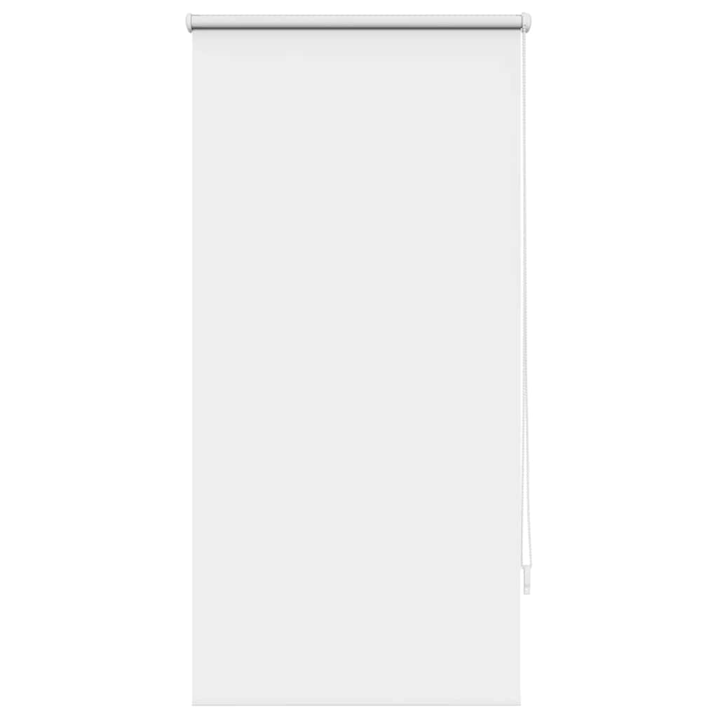 Vidaxl Roller Blind verdämmen 60 x 120 cm Weiß