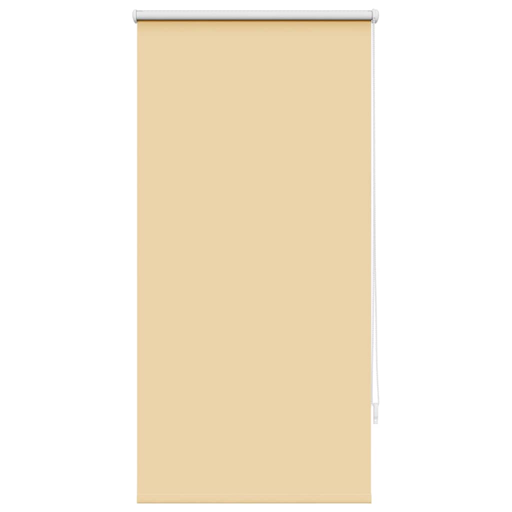 Vidaxl Roller Blind verdämmen 60 x 120 cm Beige