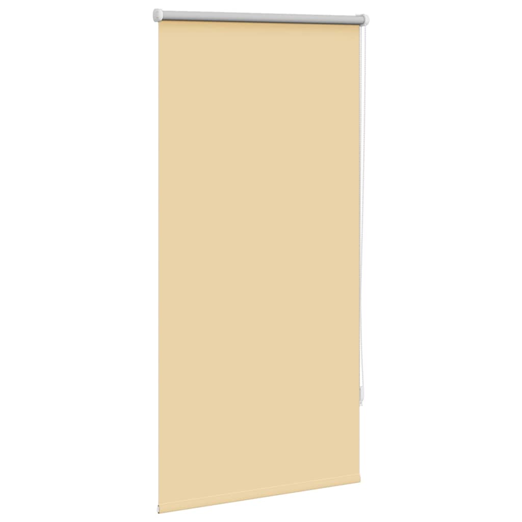 Vidaxl Roller Blind verdämmen 60 x 120 cm Beige