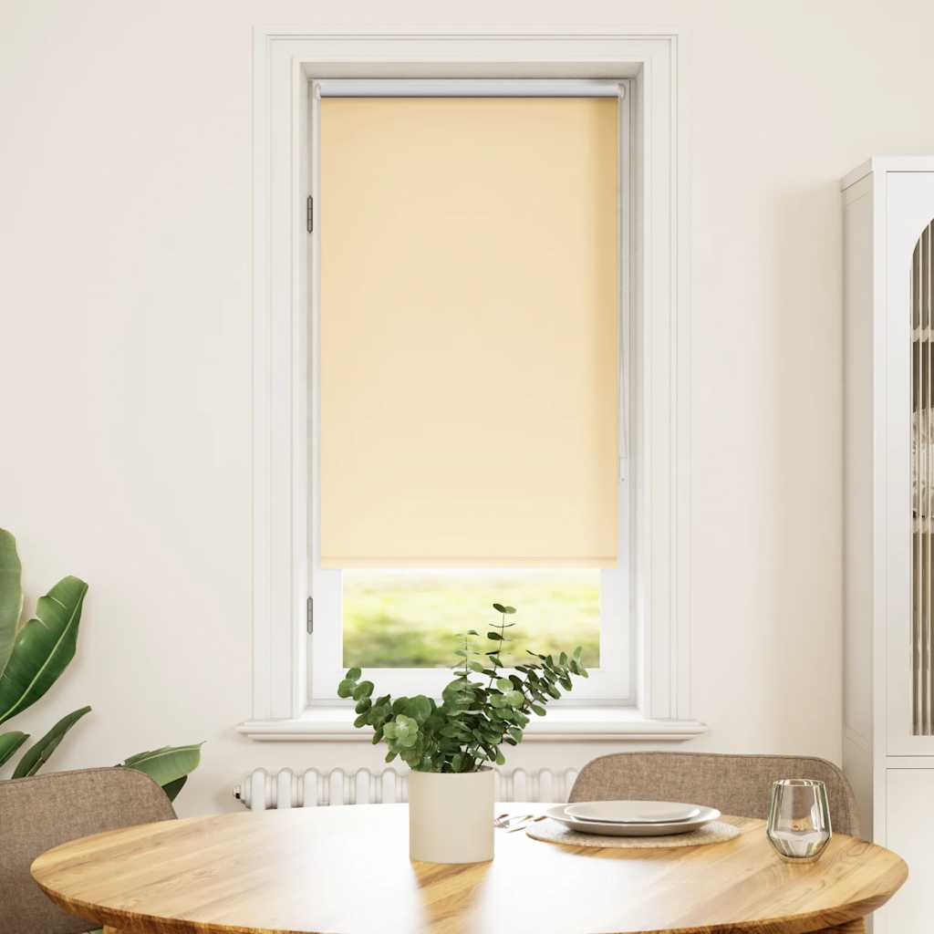 Vidaxl Roller Blind verdämmen 60 x 120 cm Beige