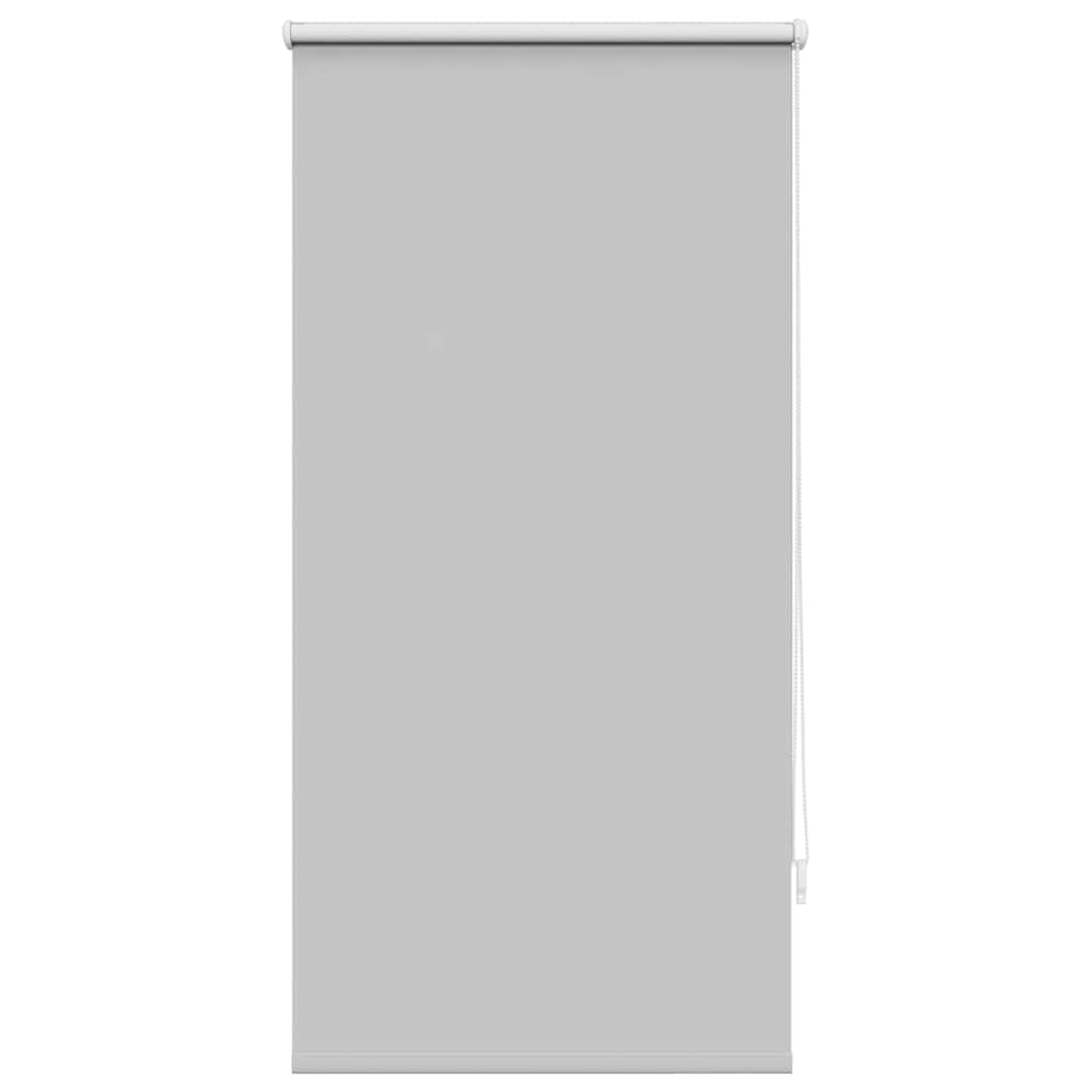 Vidaxl Roller Blind verdämmen 60 x 120 cm grau