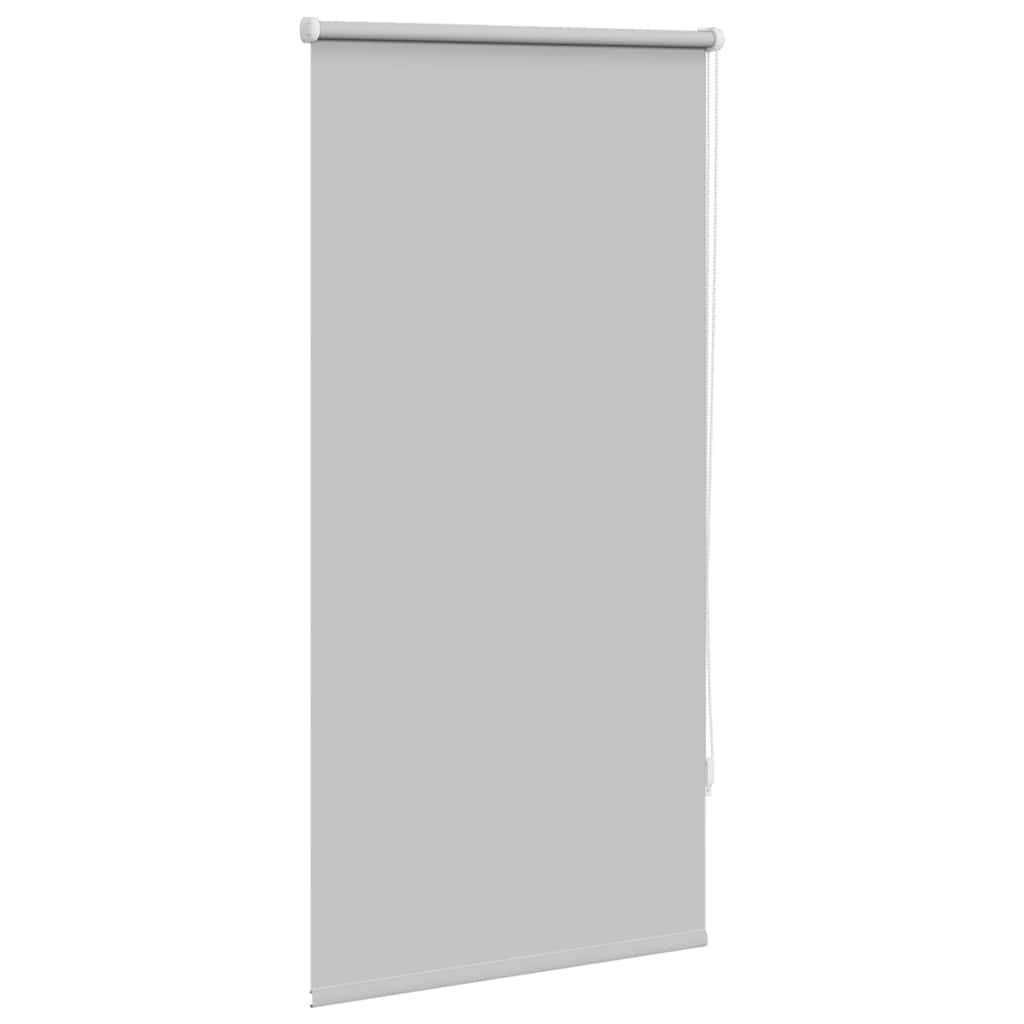 Vidaxl Roller Blind verdämmen 60 x 120 cm grau