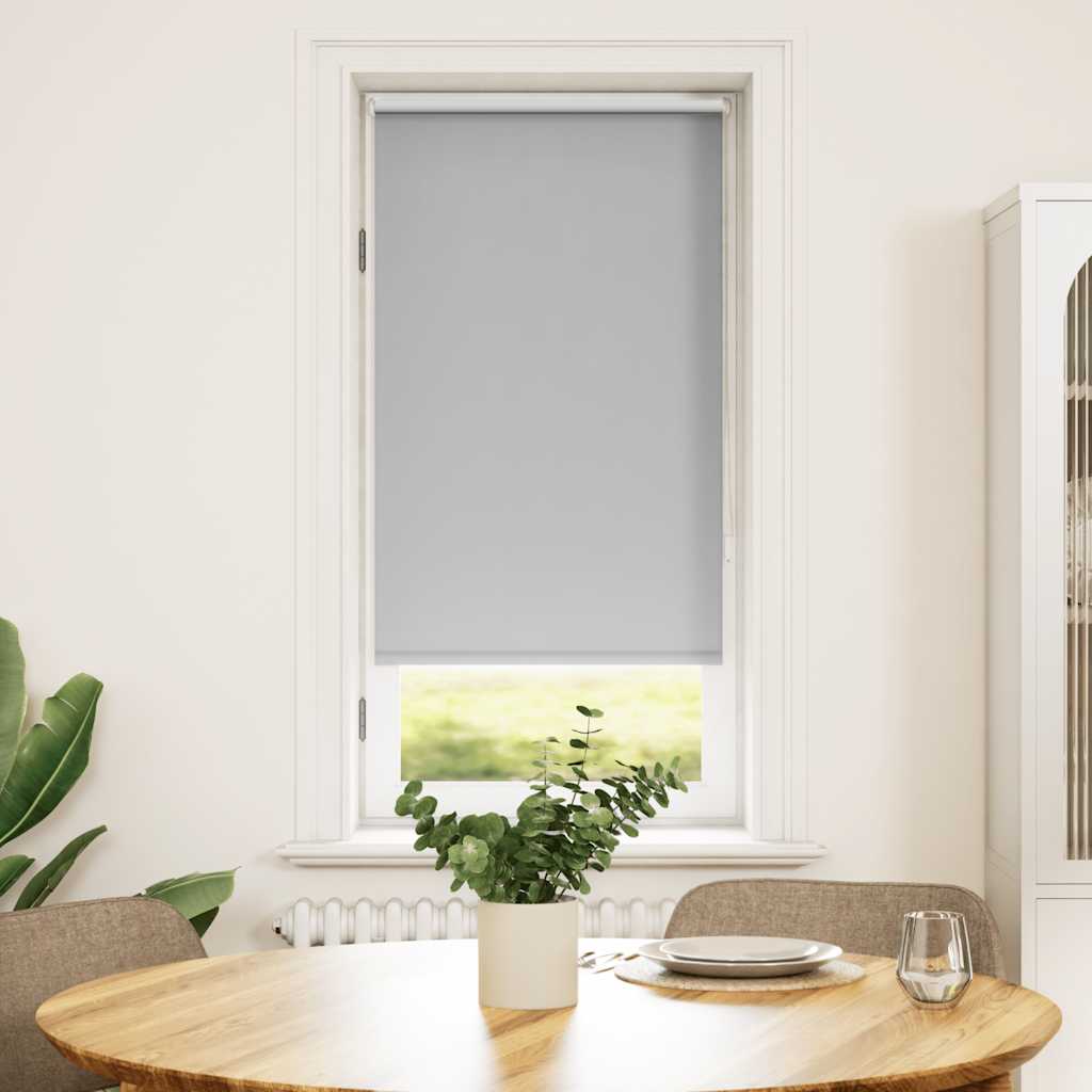 Vidaxl Roller Blind verdämmen 60 x 120 cm grau