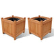 VIDAXL -Pflanzer erhöhten 2 PCs 30x30x30 cm Holz