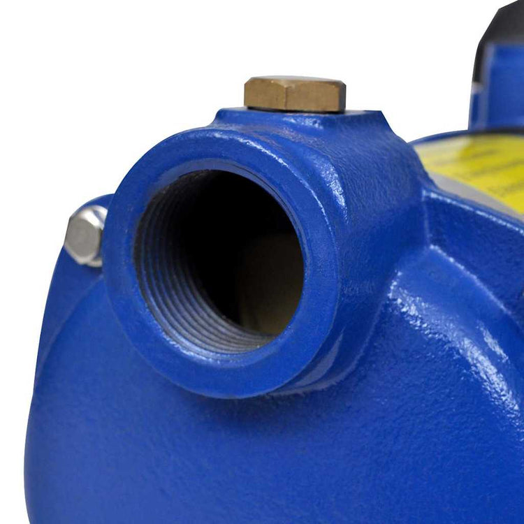VIDAXL -DEA -Wasserpumpe 1300 W 5100 L u (blau)