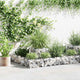 Vidaxl Gabion Planungsbox 120x120x20 cm verzinkter Stahl