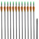 Vidaxl Recurveboog Standard mit Pfeilen 30 0,6 cm Faser 12 Teile