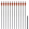 Vidaxl -Pfeile für Recurvebog Standard 30 0,76 cm Kohlenstoff 12 Teile