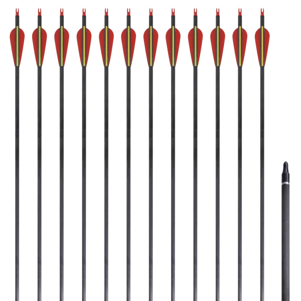 Vidaxl -Pfeile für Recurvebog Standard 30 0,76 cm Kohlenstoff 12 Teile