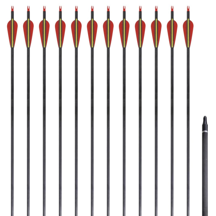 Vidaxl -Pfeile für Recurvebog Standard 30 0,76 cm Kohlenstoff 12 Teile