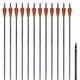 Vidaxl -Pfeile für Recurvebog Standard 30 0,76 cm Kohlenstoff 12 Teile