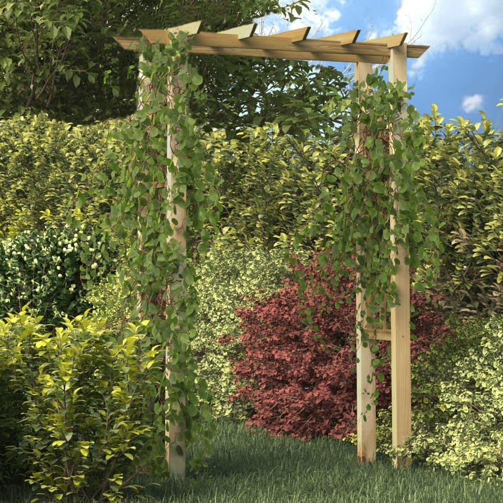 Vidaxl Rozenbog 150x60x204 cm imprägniertes Holz