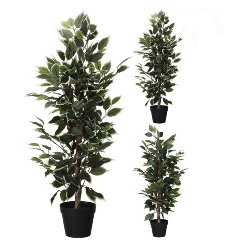 Andere Marken Kunstpflanze Ficus 95 cm grün weiß