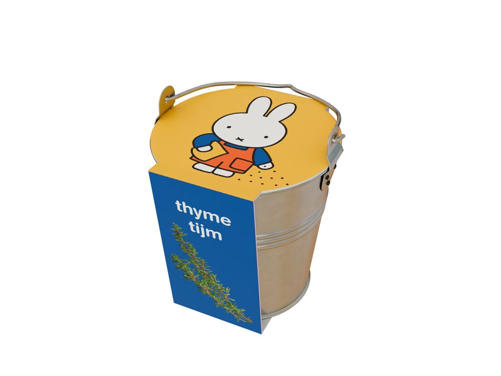 Miffy-Kräuter in einem Zinkeimer mit Thymian