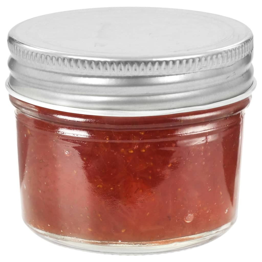 Vidaxl -Marmeladengläser mit silberfarbenen Deckel 24 St 110 ml Glas