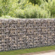 Vidaxl Schanskorf Wand mit Deckel 50x20x100 cm verzinkter Stahl